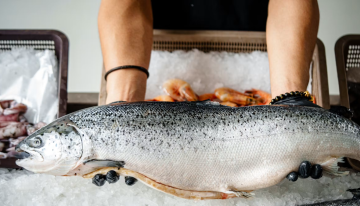 ¿Qué pescados son más sanos para comer?