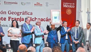 Aguacate fomenta el desarrollo de la agroindustria en Michoacán