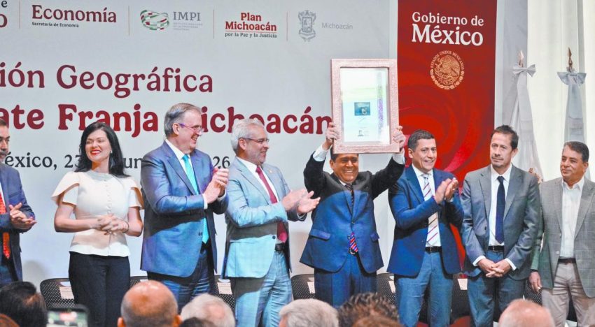 Aguacate fomenta el desarrollo de la agroindustria en Michoacán