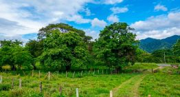 Sviaa alerta que la falta de crédito y el contrabando atentan contra la agricultura familiar