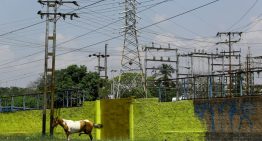 «No existe seguridad jurídica»: las leves reformas en Venezuela aún no atraen a inversores recelosos
