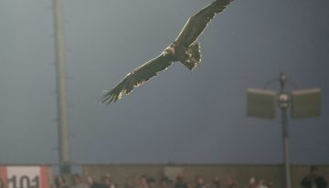 Qué es el ritual del águila que se hizo antes del amistoso entre Argentina e Islandia en Alabama