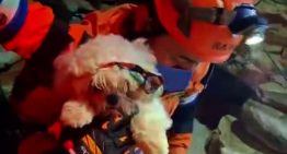 La misión salvadoreña volvió a emocionar con un rescate muy especial (VIDEO)
