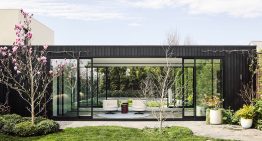 Esta casa victoriana en Melbourne, rodeada de vegetación, ha cobrado nueva vida y ha teñido sus paredes del color de moda