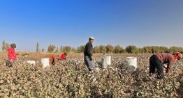 ¿Por qué Estados Unidos impuso aranceles a México por trabajo forzoso?
