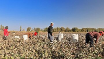 ¿Por qué Estados Unidos impuso aranceles a México por trabajo forzoso?