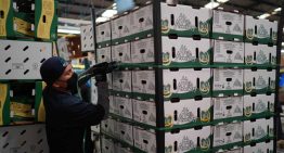 Mercado laboral elimina 320,000 empleos en junio y ya presenta déficit de plazas en 2026