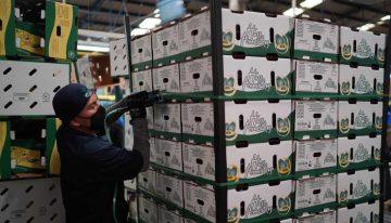 Mercado laboral elimina 320,000 empleos en junio y ya presenta déficit de plazas en 2026