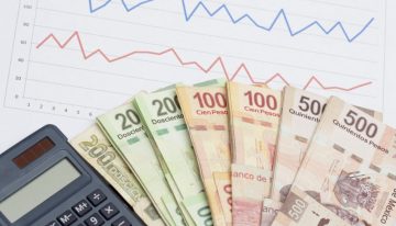 Pago de reparto de utilidades se redujo 65% en 2026: Worky