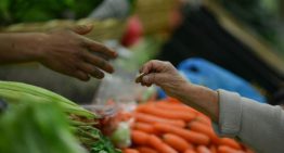 Los precios mundiales de los alimentos bajan levemente en junio por caída de los cereales y el azúcar