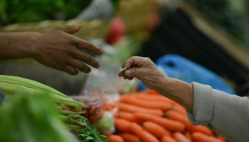 Los precios mundiales de los alimentos bajan levemente en junio por caída de los cereales y el azúcar
