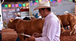 Destacan cooperación México-EU para reapertura gradual de frontera al ganado mexicano
