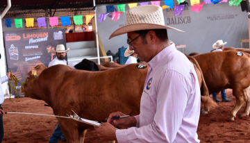 Destacan cooperación México-EU para reapertura gradual de frontera al ganado mexicano