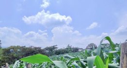 Morelos rehabilita 25.5 km de vías rurales para fortalecer la actividad agropecuaria