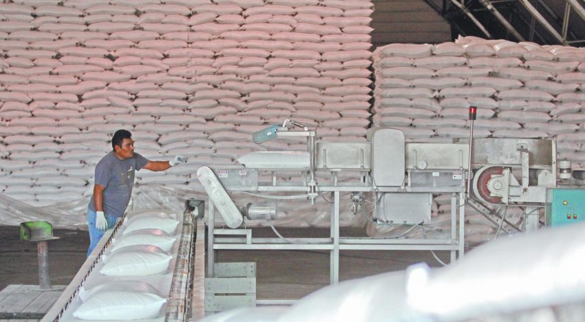 México recupera acceso al mercado de azúcar de EU; exportaciones crecerían 512% en el ciclo 2026-2027