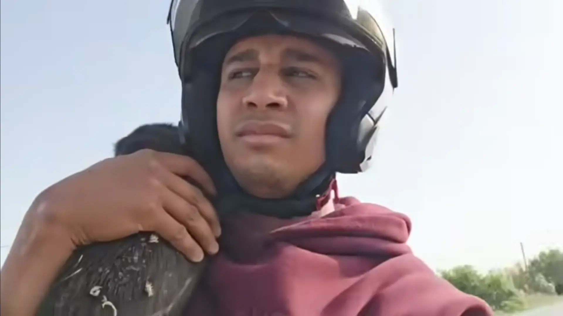Un tribunal condena a un polémico 'youtuber' a ocho meses de cárcel por cocinar a un perro callejero