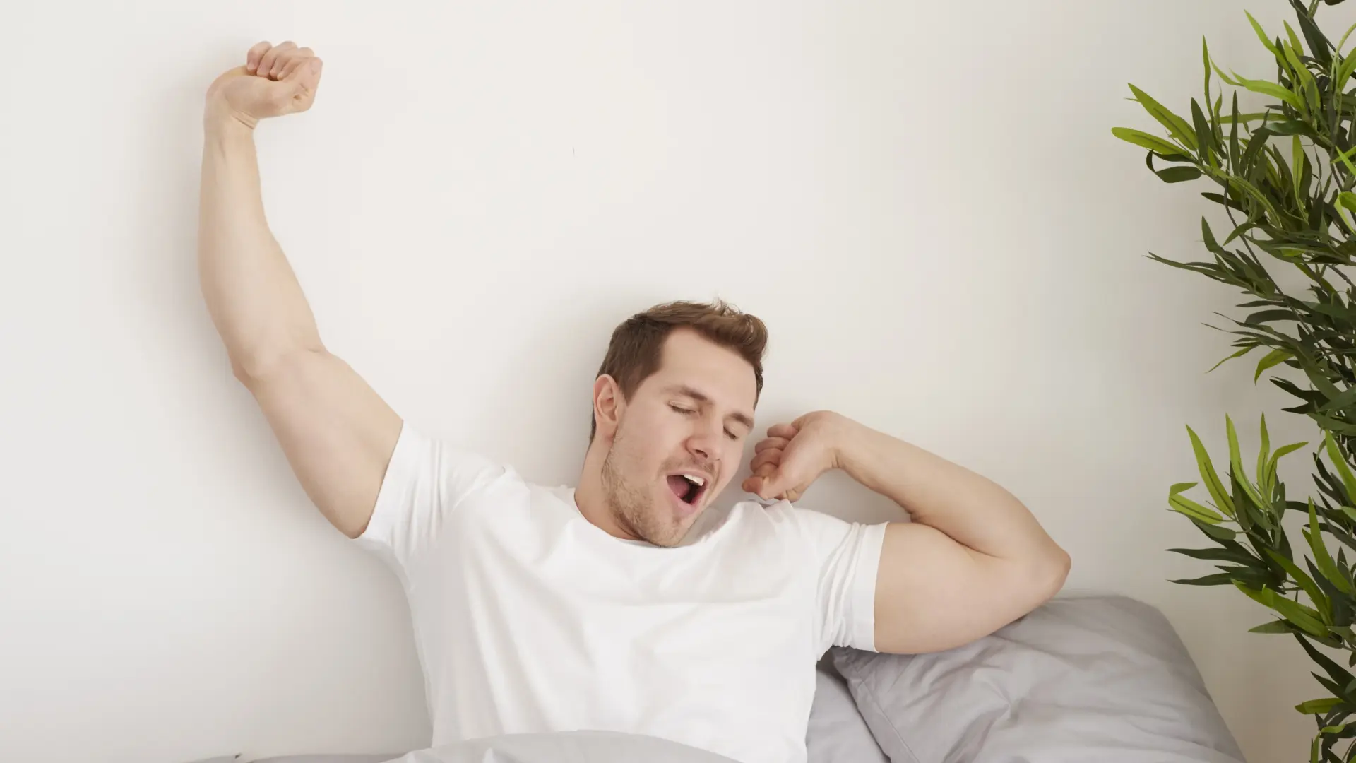 Un experto del sueño aclara cómo debemos atajar el insomnio: «Si sigues despierto veinte minutos después de acostarte, levántate»