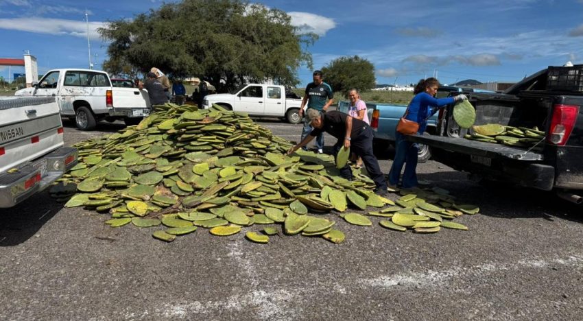 Felifer impulsa al campo queretano con apoyos