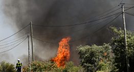 Incendios queman bosques en Europa atizados por el calor extremo