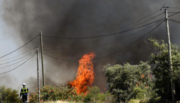 Incendios queman bosques en Europa atizados por el calor extremo