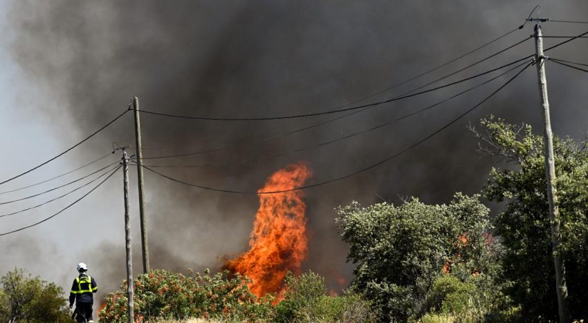 Incendios queman bosques en Europa atizados por el calor extremo