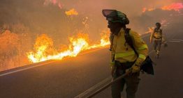 Incendio en el sur de España deja al menos 12 muertos y 19 desaparecidos: ¿Qué se sabe?