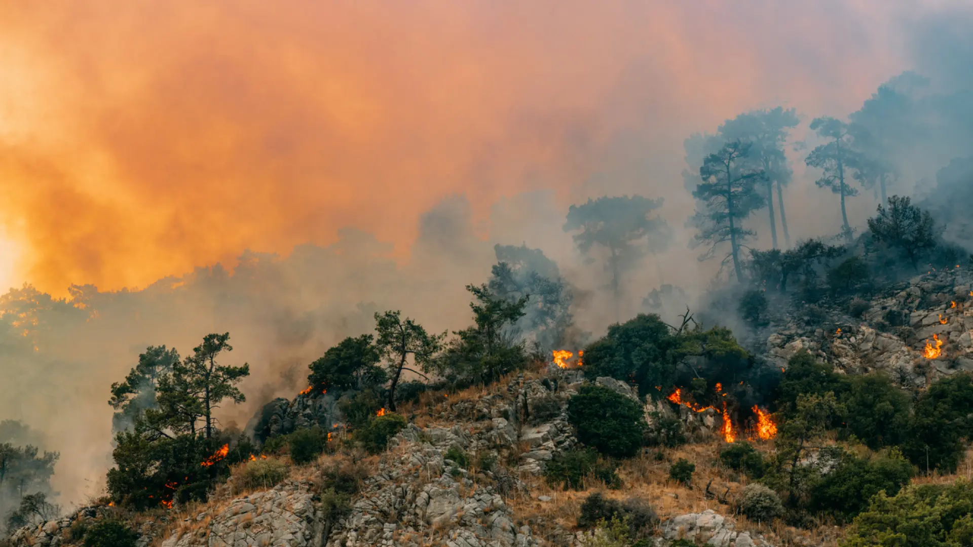 Cómo puede afectarte el humo de los incendios: riesgos y cómo protegerte