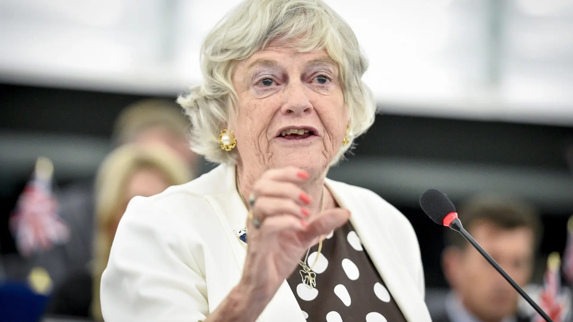 La Policía Antiterrorista británica afirma que la exdiputada Ann Widdecombe fue asesinada en un «ataque deliberado»