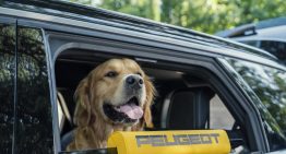 Peugeot E-5008 Dog Edition Concept: el SUV eléctrico pensado para viajar con tu perro