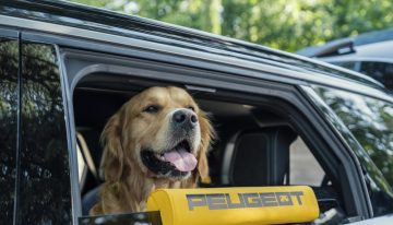 Peugeot E-5008 Dog Edition Concept: el SUV eléctrico pensado para viajar con tu perro