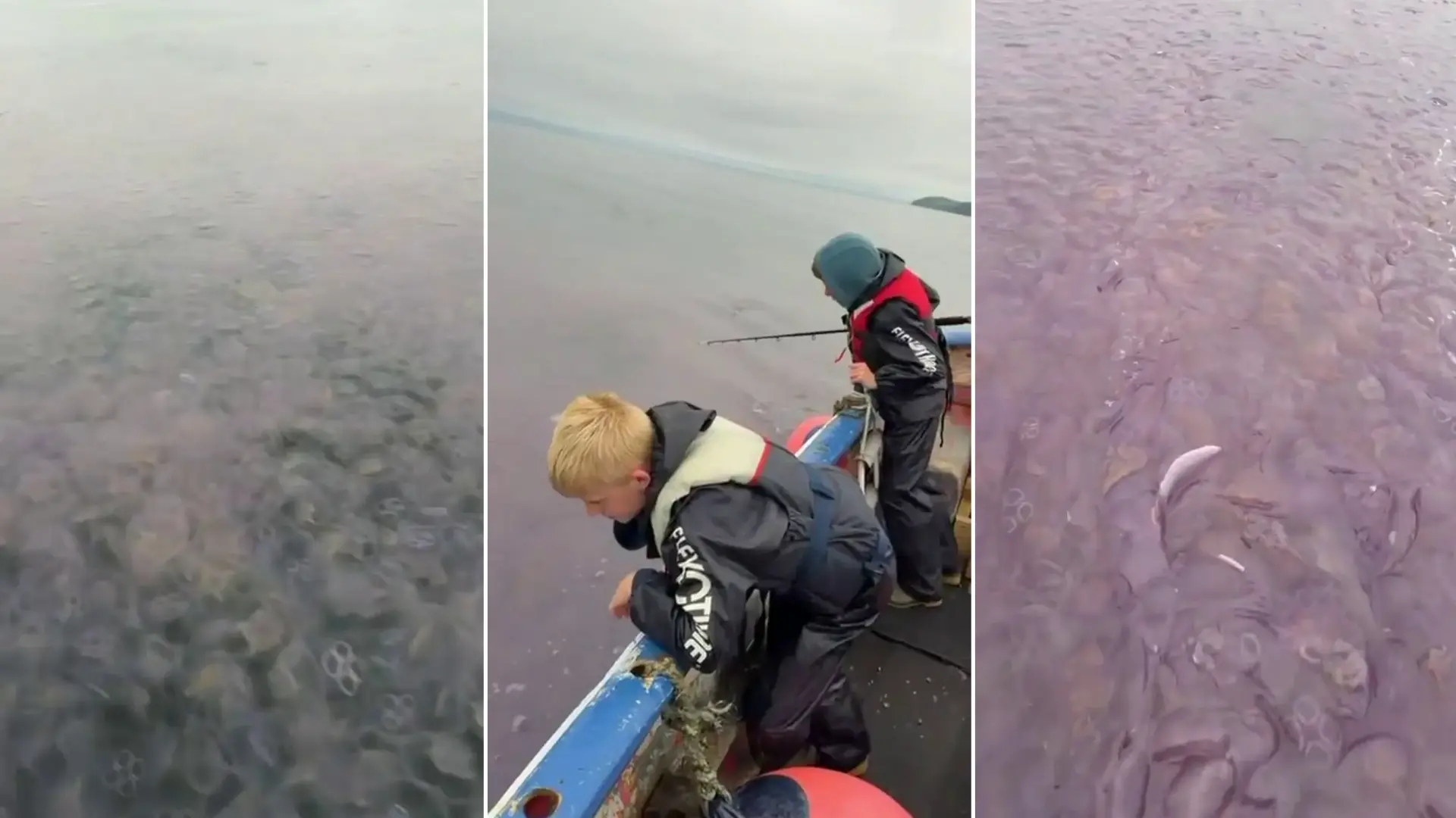 Un barco de pesca capta el momento en el que pasa sobre un viscoso mar lleno de miles de medusas: «Nunca había visto algo así»