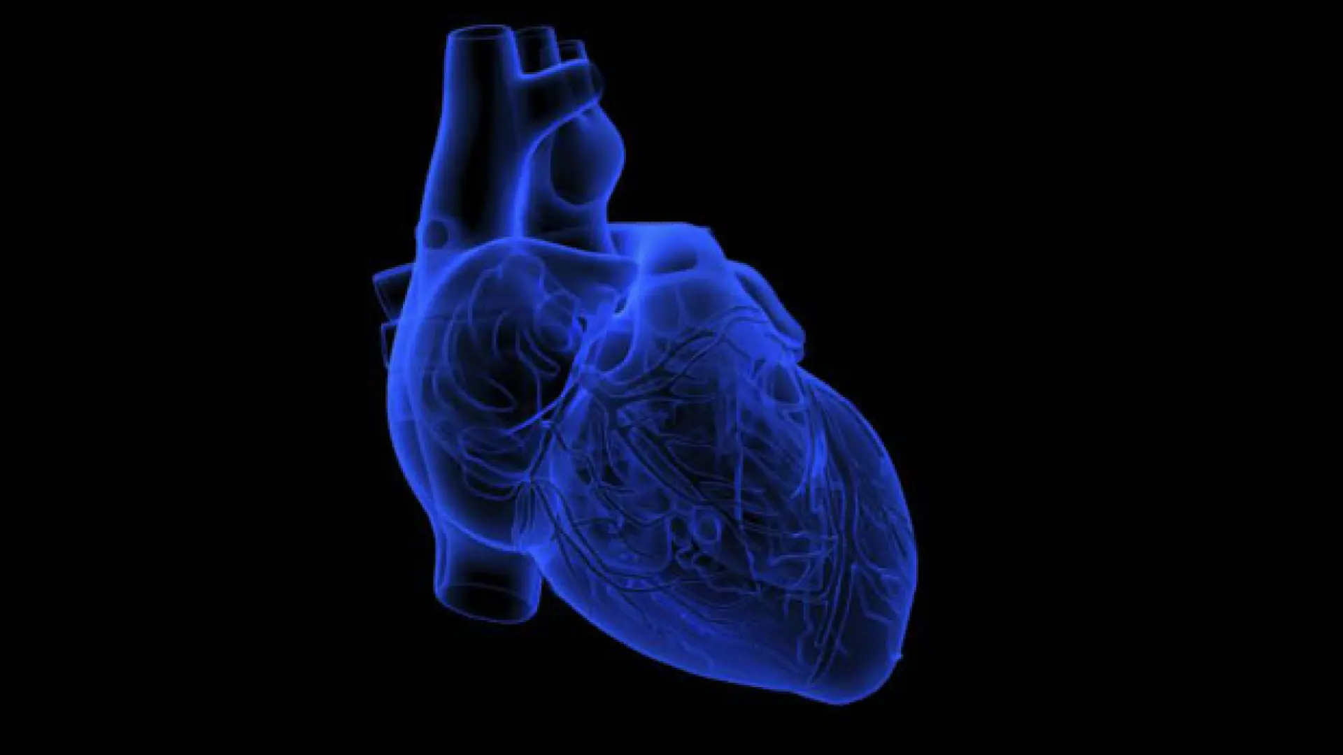 El corazón que cabe en un chip: el avance español que puede cambiar el desarrollo de nuevos fármacos