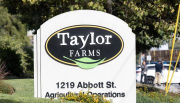 Salud descarta contaminación por Cyclospora en muestra de lechuga de Taylor Farms en México