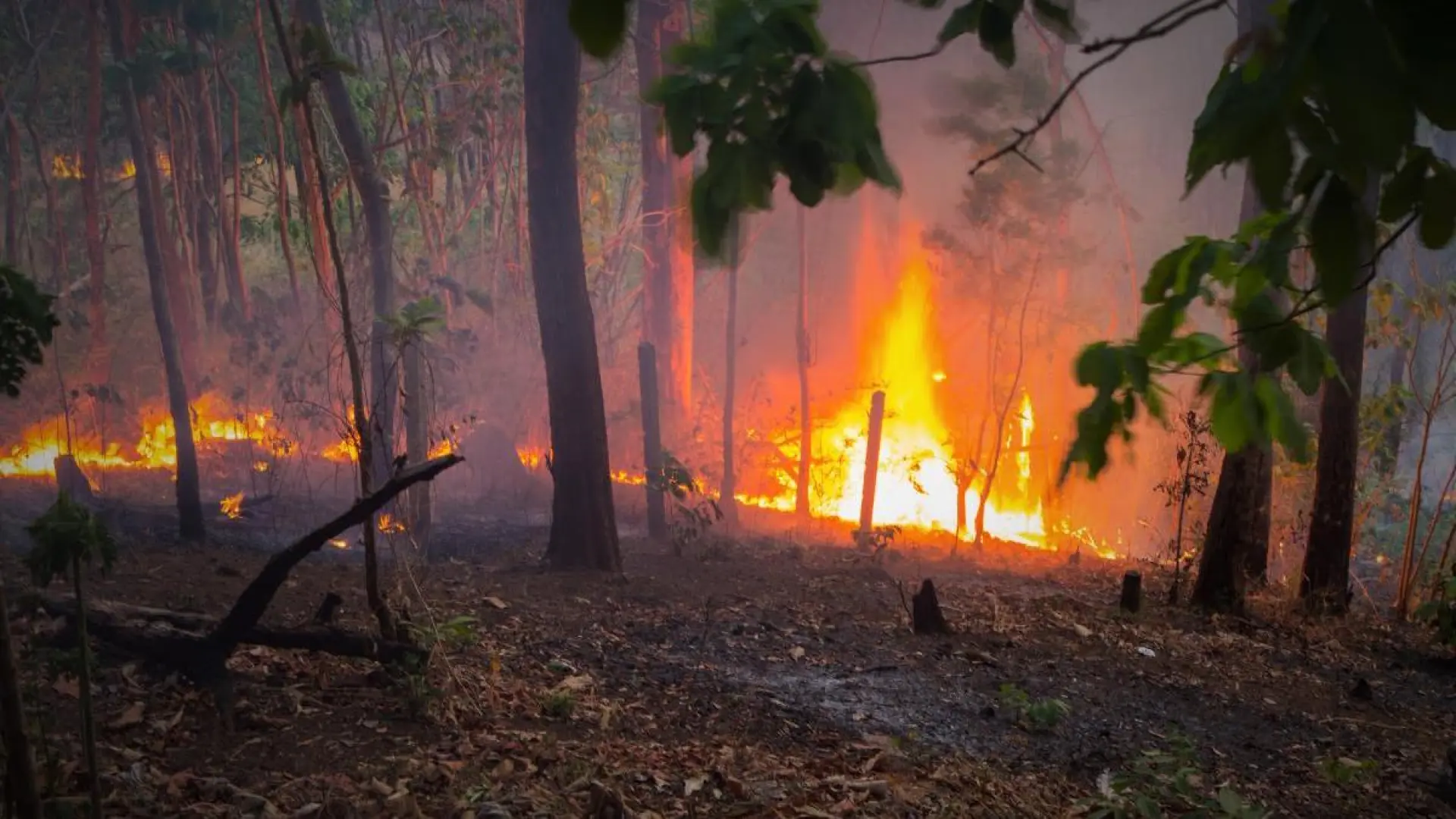 Los epidemiólogos insisten en las consecuencias de los incendios para la salud