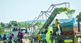 PIB aceleró 1.5% en el II Trim, impulsado por factores temporales