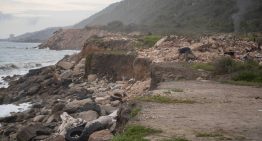 ¿Por qué no se pueden lanzar los escombros del terremoto al mar?