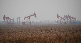 AIE: la oferta global de petróleo superará la demanda a fin de año si no vuelve la guerra