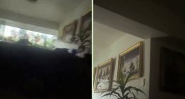 Un VIDEO reveló los dramáticos segundos que vivieron residentes de El Paraíso durante los terremotos