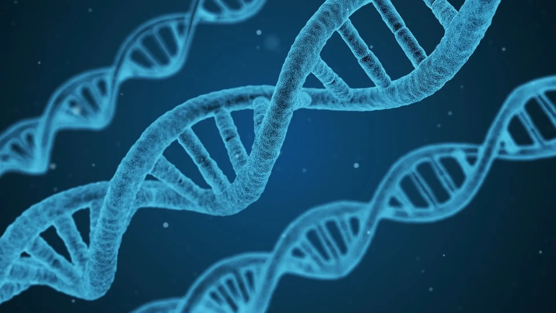 Crean un atlas con más 92 millones de elementos del ADN que controlan los genes humanos