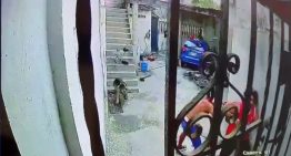 VIDEOS: La desesperada huida que quedó grabada justo antes de que todo se viniera abajo por los terremotos