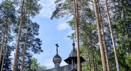 Finlandia: el país de los lagos, las saunas y el diseño, tiene en el sisu, la fuerza de voluntad, el secreto de la vida feliz