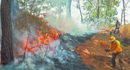 IA contra incendios forestales: tecnología para anticipar el riesgo