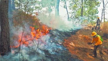 IA contra incendios forestales: tecnología para anticipar el riesgo