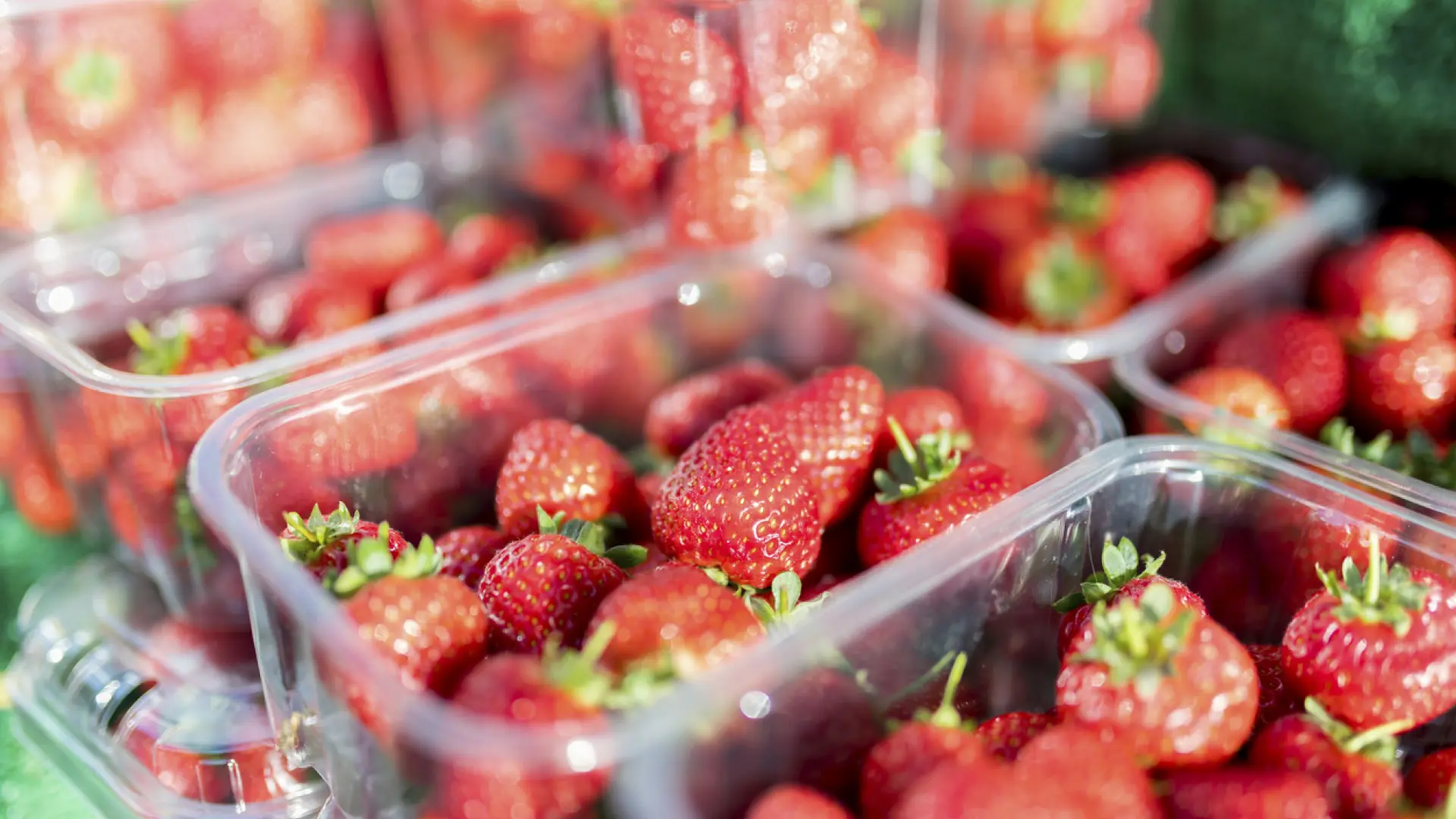 La fresas de España están menos contaminadas de pesticidas que otras procedentes de Europa