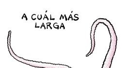 Tocayas