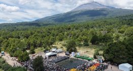México va por 6.6 millones de árboles: Sheinbaum encabeza Jornada Nacional de Reforestación 2026