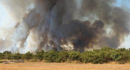 Nueva oleada de incendios forestales en Europa deja miles de evacuados y un muerto