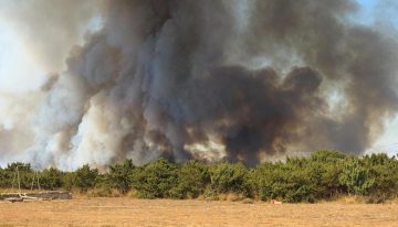 Nueva oleada de incendios forestales en Europa deja miles de evacuados y un muerto