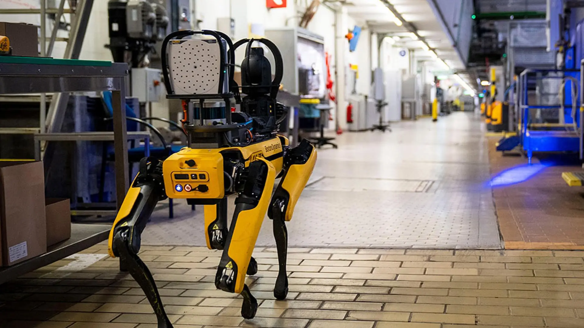 EEUU planea invertir dos millones de dólares en perros robots para operativos del ICE