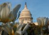 Servicio de investigación del Congreso de EEUU publicó informe sobre la transición en Venezuela